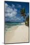 White sand beach and turquoise water on Johny Cay Island, San Andres, Caribbean Sea, Colombia, Sout-Michael Runkel-Mounted Photographic Print