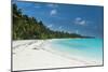 White sand beach and turquoise water, Sun Island Resort, Nalaguraidhoo island, Ari atoll, Maldives,-Michael Runkel-Mounted Photographic Print