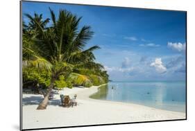 White sand beach and turquoise water, Sun Island Resort, Nalaguraidhoo island, Ari atoll, Maldives,-Michael Runkel-Mounted Photographic Print