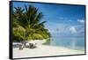 White sand beach and turquoise water, Sun Island Resort, Nalaguraidhoo island, Ari atoll, Maldives,-Michael Runkel-Framed Stretched Canvas