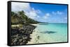 White sand beach and turquoise waters, Rarotonga and the Cook Islands, South Pacific, Pacific-Michael Runkel-Framed Stretched Canvas