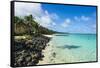 White sand beach and turquoise waters, Rarotonga and the Cook Islands, South Pacific, Pacific-Michael Runkel-Framed Stretched Canvas
