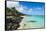 White sand beach and turquoise waters, Rarotonga and the Cook Islands, South Pacific, Pacific-Michael Runkel-Framed Stretched Canvas