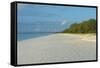 White sand beach at sunset, Ouvea, Loyalty Islands, New Caledonia, Pacific-Michael Runkel-Framed Stretched Canvas