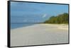 White sand beach at sunset, Ouvea, Loyalty Islands, New Caledonia, Pacific-Michael Runkel-Framed Stretched Canvas