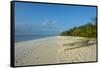 White sand beach at sunset, Ouvea, Loyalty Islands, New Caledonia, Pacific-Michael Runkel-Framed Stretched Canvas