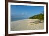 White sand beach at sunset, Ouvea, Loyalty Islands, New Caledonia, Pacific-Michael Runkel-Framed Photographic Print