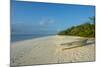 White sand beach at sunset, Ouvea, Loyalty Islands, New Caledonia, Pacific-Michael Runkel-Mounted Photographic Print