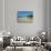 White sand beach at sunset, Ouvea, Loyalty Islands, New Caledonia, Pacific-Michael Runkel-Stretched Canvas displayed on a wall