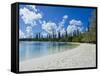 White Sand Beach, Bay de Kanumera, Ile Des Pins, New Caledonia, Melanesia, South Pacific, Pacific-Michael Runkel-Framed Stretched Canvas