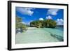 White Sand Beach, Bay De Kanumera, Ile Des Pins, New Caledonia, Melanesia, South Pacific-Michael Runkel-Framed Photographic Print