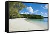 White Sand Beach, Bay De Kanumera, Ile Des Pins, New Caledonia, Melanesia, South Pacific-Michael Runkel-Framed Stretched Canvas