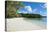 White Sand Beach, Bay De Kanumera, Ile Des Pins, New Caledonia, Melanesia, South Pacific-Michael Runkel-Stretched Canvas