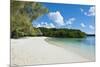 White Sand Beach, Bay De Kanumera, Ile Des Pins, New Caledonia, Melanesia, South Pacific-Michael Runkel-Mounted Photographic Print