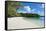 White Sand Beach, Bay De Kanumera, Ile Des Pins, New Caledonia, Melanesia, South Pacific-Michael Runkel-Framed Stretched Canvas