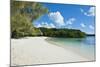 White Sand Beach, Bay De Kanumera, Ile Des Pins, New Caledonia, Melanesia, South Pacific-Michael Runkel-Mounted Photographic Print