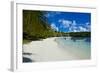 White Sand Beach, Bay De Kanumera, Ile Des Pins, New Caledonia, Melanesia, South Pacific-Michael Runkel-Framed Photographic Print