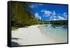 White Sand Beach, Bay De Kanumera, Ile Des Pins, New Caledonia, Melanesia, South Pacific-Michael Runkel-Framed Stretched Canvas