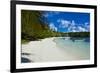 White Sand Beach, Bay De Kanumera, Ile Des Pins, New Caledonia, Melanesia, South Pacific-Michael Runkel-Framed Photographic Print