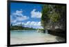 White Sand Beach, Bay De Kanumera, Ile Des Pins, New Caledonia, South Pacific-Michael Runkel-Framed Photographic Print