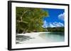 White Sand Beach, Bay De Kanumera, Ile Des Pins, New Caledonia, South Pacific-Michael Runkel-Framed Photographic Print