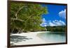 White Sand Beach, Bay De Kanumera, Ile Des Pins, New Caledonia, South Pacific-Michael Runkel-Framed Photographic Print