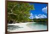 White Sand Beach, Bay De Kanumera, Ile Des Pins, New Caledonia, South Pacific-Michael Runkel-Framed Photographic Print