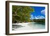 White Sand Beach, Bay De Kanumera, Ile Des Pins, New Caledonia, South Pacific-Michael Runkel-Framed Photographic Print