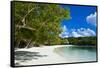 White Sand Beach, Bay De Kanumera, Ile Des Pins, New Caledonia, South Pacific-Michael Runkel-Framed Stretched Canvas