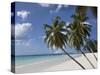 White Sand Beach, Bridgetown, Barbados, West Indies, Caribbean, Central America-Angelo Cavalli-Stretched Canvas