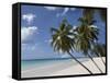 White Sand Beach, Bridgetown, Barbados, West Indies, Caribbean, Central America-Angelo Cavalli-Framed Stretched Canvas