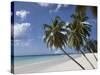 White Sand Beach, Bridgetown, Barbados, West Indies, Caribbean, Central America-Angelo Cavalli-Stretched Canvas