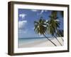 White Sand Beach, Bridgetown, Barbados, West Indies, Caribbean, Central America-Angelo Cavalli-Framed Photographic Print