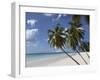 White Sand Beach, Bridgetown, Barbados, West Indies, Caribbean, Central America-Angelo Cavalli-Framed Photographic Print