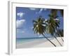 White Sand Beach, Bridgetown, Barbados, West Indies, Caribbean, Central America-Angelo Cavalli-Framed Photographic Print