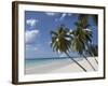 White Sand Beach, Bridgetown, Barbados, West Indies, Caribbean, Central America-Angelo Cavalli-Framed Photographic Print