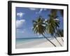 White Sand Beach, Bridgetown, Barbados, West Indies, Caribbean, Central America-Angelo Cavalli-Framed Photographic Print