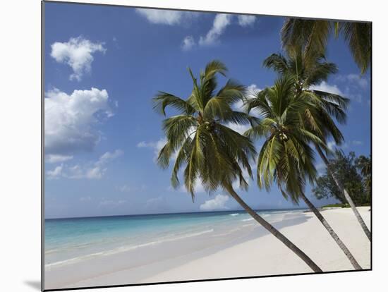 White Sand Beach, Bridgetown, Barbados, West Indies, Caribbean, Central America-Angelo Cavalli-Mounted Photographic Print