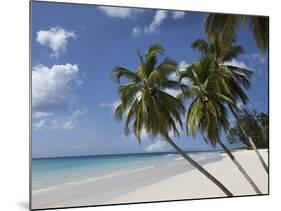 White Sand Beach, Bridgetown, Barbados, West Indies, Caribbean, Central America-Angelo Cavalli-Mounted Photographic Print