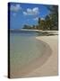 White Sand Beach, Bridgetown, Barbados, West Indies, Caribbean, Central America-Angelo Cavalli-Stretched Canvas
