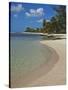 White Sand Beach, Bridgetown, Barbados, West Indies, Caribbean, Central America-Angelo Cavalli-Stretched Canvas