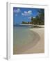 White Sand Beach, Bridgetown, Barbados, West Indies, Caribbean, Central America-Angelo Cavalli-Framed Photographic Print