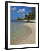 White Sand Beach, Bridgetown, Barbados, West Indies, Caribbean, Central America-Angelo Cavalli-Framed Photographic Print