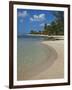 White Sand Beach, Bridgetown, Barbados, West Indies, Caribbean, Central America-Angelo Cavalli-Framed Photographic Print