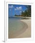 White Sand Beach, Bridgetown, Barbados, West Indies, Caribbean, Central America-Angelo Cavalli-Framed Photographic Print