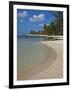 White Sand Beach, Bridgetown, Barbados, West Indies, Caribbean, Central America-Angelo Cavalli-Framed Photographic Print