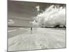 White Sand Beach, Ilha De Itamaraca, Pernambuco, Brazil-Anthony Asael-Mounted Photographic Print