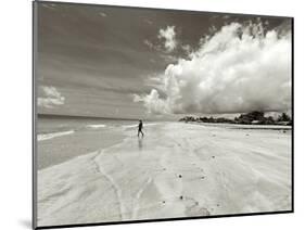 White Sand Beach, Ilha De Itamaraca, Pernambuco, Brazil-Anthony Asael-Mounted Photographic Print