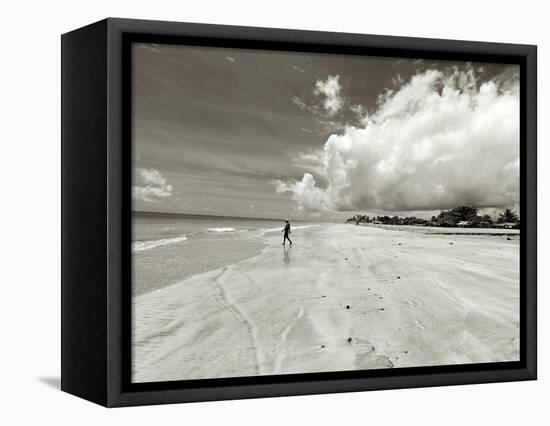 White Sand Beach, Ilha De Itamaraca, Pernambuco, Brazil-Anthony Asael-Framed Stretched Canvas