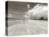 White Sand Beach, Ilha De Itamaraca, Pernambuco, Brazil-Anthony Asael-Stretched Canvas